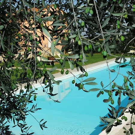 Le More E I Gelsomini-2